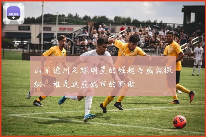 山东德州足球明星的崛起与成就探秘，谁是这座城市的骄傲