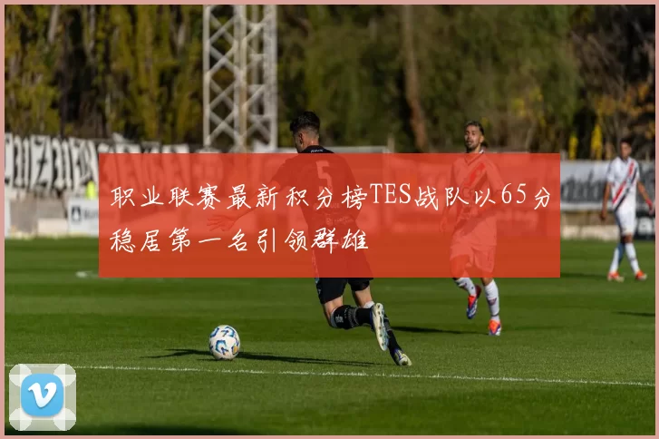 职业联赛最新积分榜TES战队以65分稳居第一名引领群雄