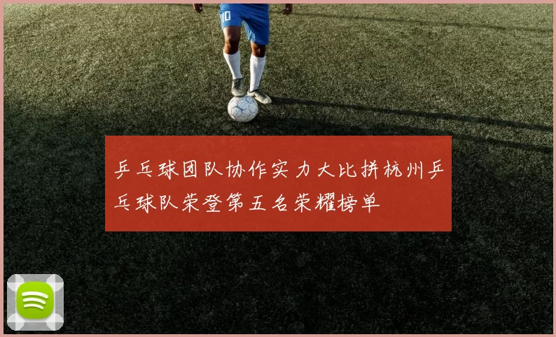 乒乓球团队协作实力大比拼杭州乒乓球队荣登第五名荣耀榜单